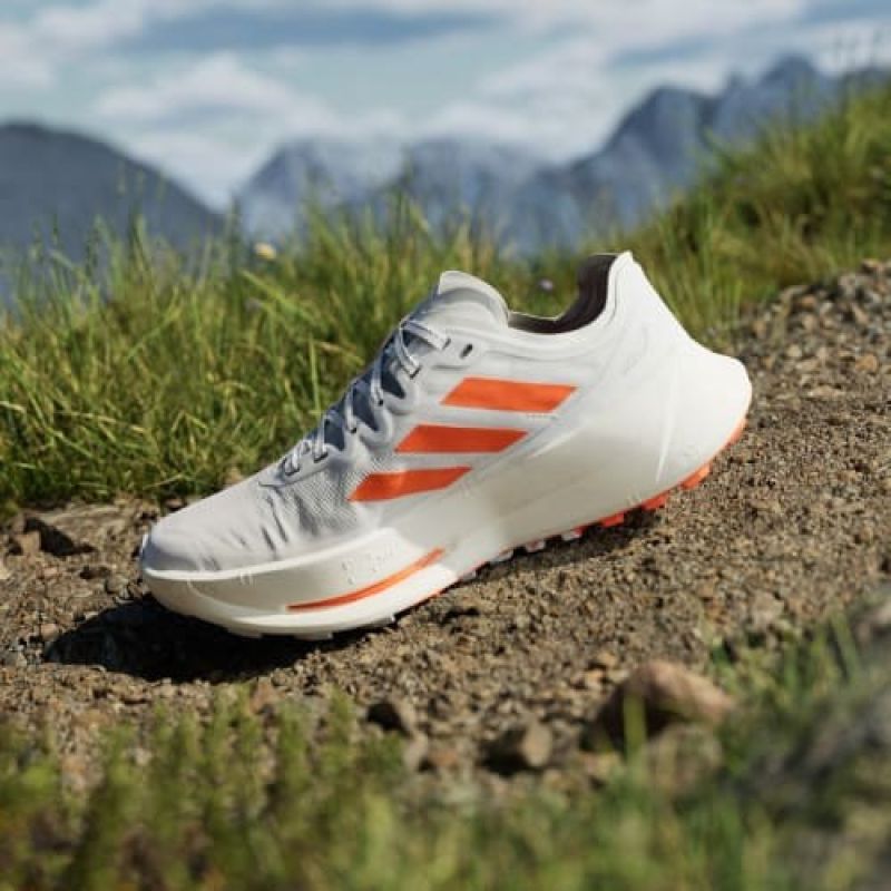 adidas Scarpe terrex Agravic Speed Ultra ftwwht/impora/dshgry