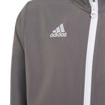 adidas Felpa Entrada Presentation