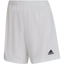 adidas Pantaloncini Entrada