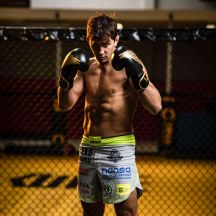 DBX Bushido Guanti Boxing Hawk Origin Series