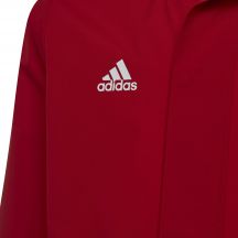 adidas Giacca Entrada All-Weather