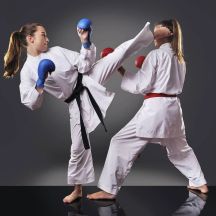 DBX Bushido Guanti WKF karate mitts