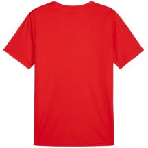 Puma Maglia teamRISE Matchday