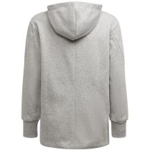 adidas Felpa con cappuccio GM
