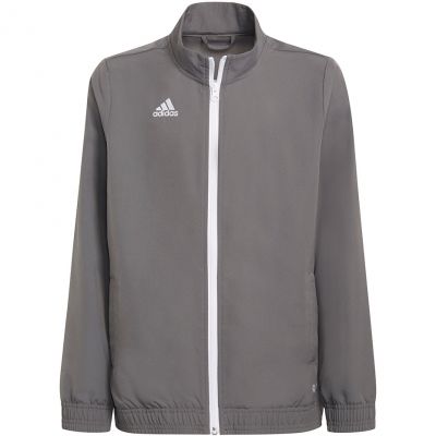 adidas Felpa Entrada Presentation
