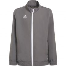 adidas Felpa Entrada Presentation