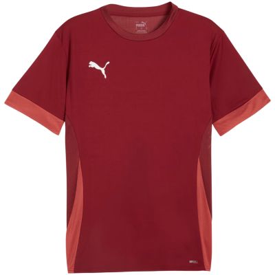 Puma Maglia teamGoal Matchday