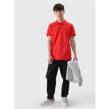 4f Polo regular