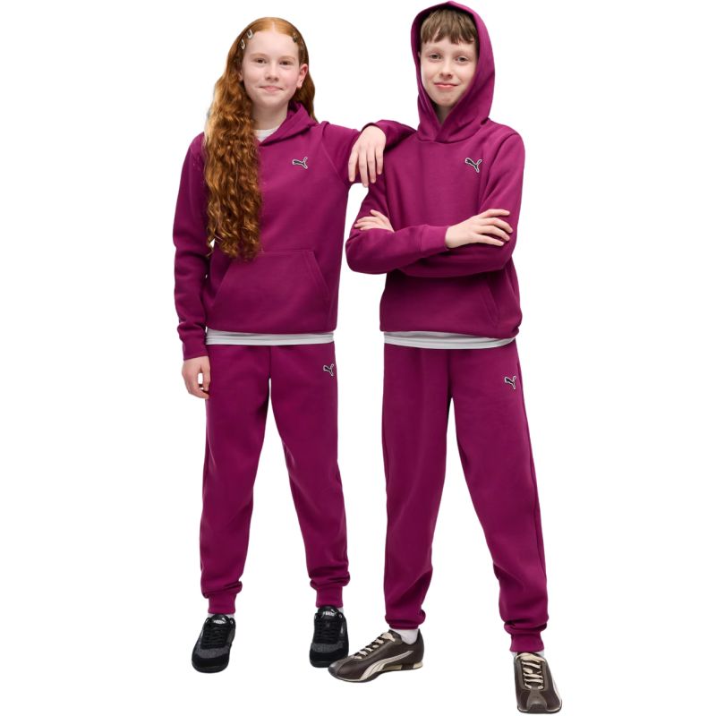Puma Felpa con cappuccio ESS Elevated FL fuchsia