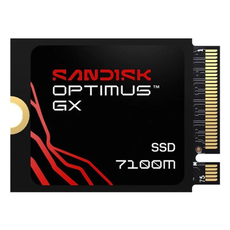 Sandisk Optimus GX 7100M 1TB SSD SDSP71100TAT