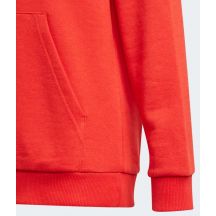 adidas Felpa con cappuccio Essentials Big Logo