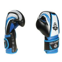 DBX Bushido Guanti Boxing for
