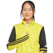 adidas Felpa Squadra Training