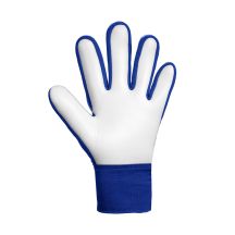 Starter Guanti Reusch Attrakt Starter Solid goalkeeper