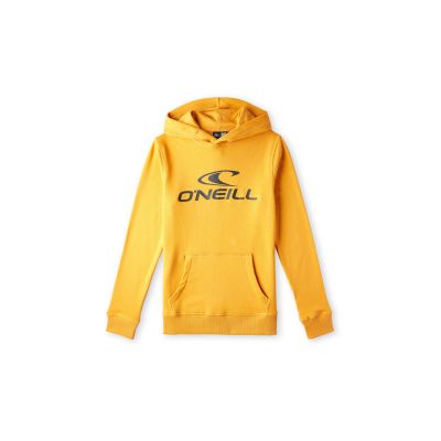 ONeill Felpa con cappuccio O'Neill Logo