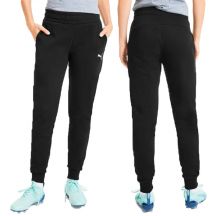 Puma Pantaloni TeamGoal Casuals
