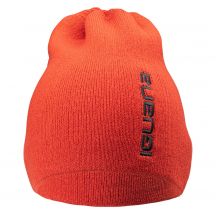 Iguana Cappello Aspar