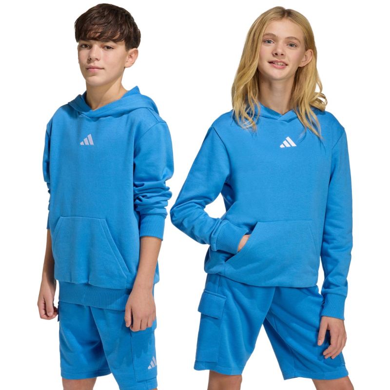 adidas Essentials Hoodie for kids blue KD3382