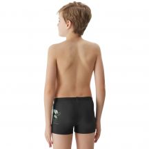 4f Boxer swim