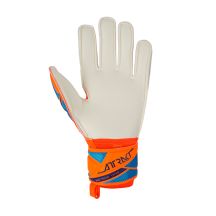 Reusch Guanti Attrakt Advance Goalkeeper