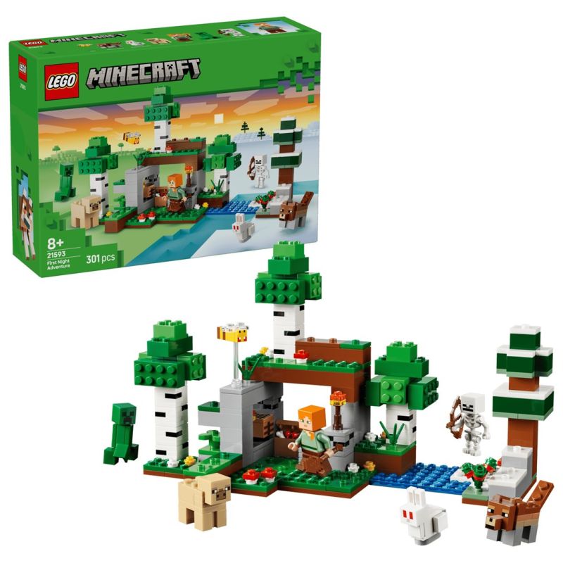 LEGO Minecraft 21593 - Surviving the First Night