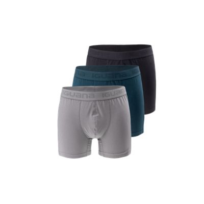 Iguana Boxer presto