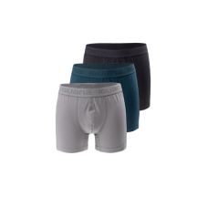 Iguana Boxer presto