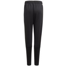 adidas Pantaloni Pt