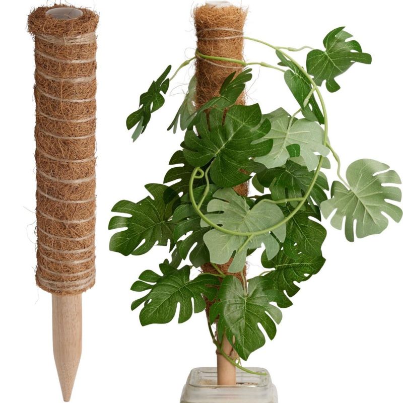COCONUT PLANT SUPPORT 50CM PROGARDEN