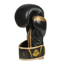DBX Bushido Guanti Boxing Aureos Valor Series
