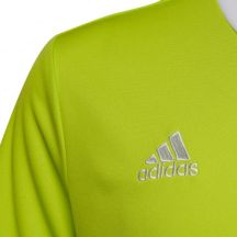 adidas Maglia Entrada