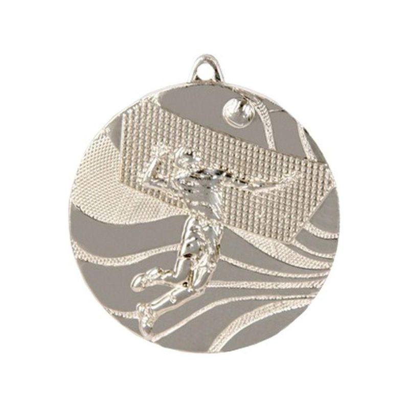 silver medal - volleyball