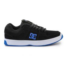 DC Scarpe Lynx Zero SM