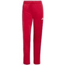 adidas Tuta Dayready