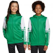 adidas Felpa con cappuccio Squadra
