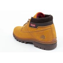 Carrera Scarpe Chukka
