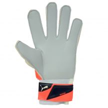 Puma Guanti EVO power grip goalkeeper