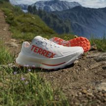adidas Scarpe terrex Agravic Speed Ultra ftwwht/impora/dshgry