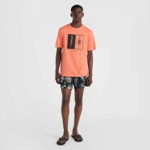 ONeill Maglia O'Neill Mix Match Palm