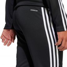 adidas Pantaloni Squadra Training