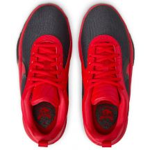 Nike Scarpe Giannis Freak (GS) Basketball