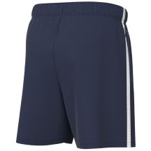 EB Fit Pantaloncini Nike Dri-Fit Park