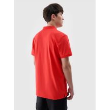 4f Polo regular
