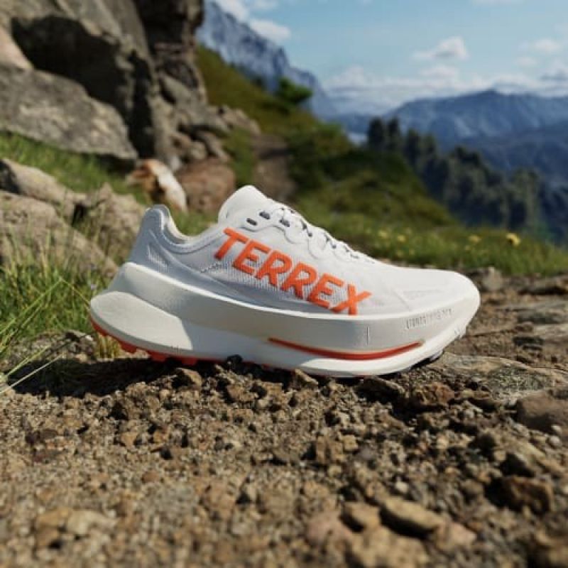 adidas Scarpe terrex Agravic Speed Ultra ftwwht/impora/dshgry