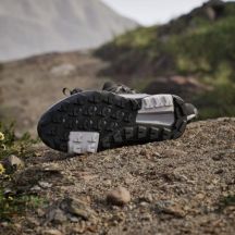 adidas Scarpe hiking adidas terrex Anylander strata/dash grey/n.cargo