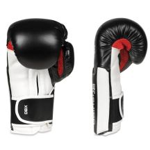 DBX Bushido Guanti Boxing Phantom Valor Series