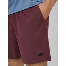 4f Pantaloncini quick-drying training
