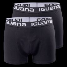 Iguana Boxer Melvo
