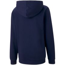 Puma Felpa con cappuccio teamGOAL Casuals