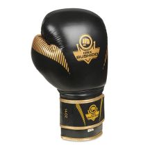 DBX Bushido Guanti Boxing Aureos Valor Series